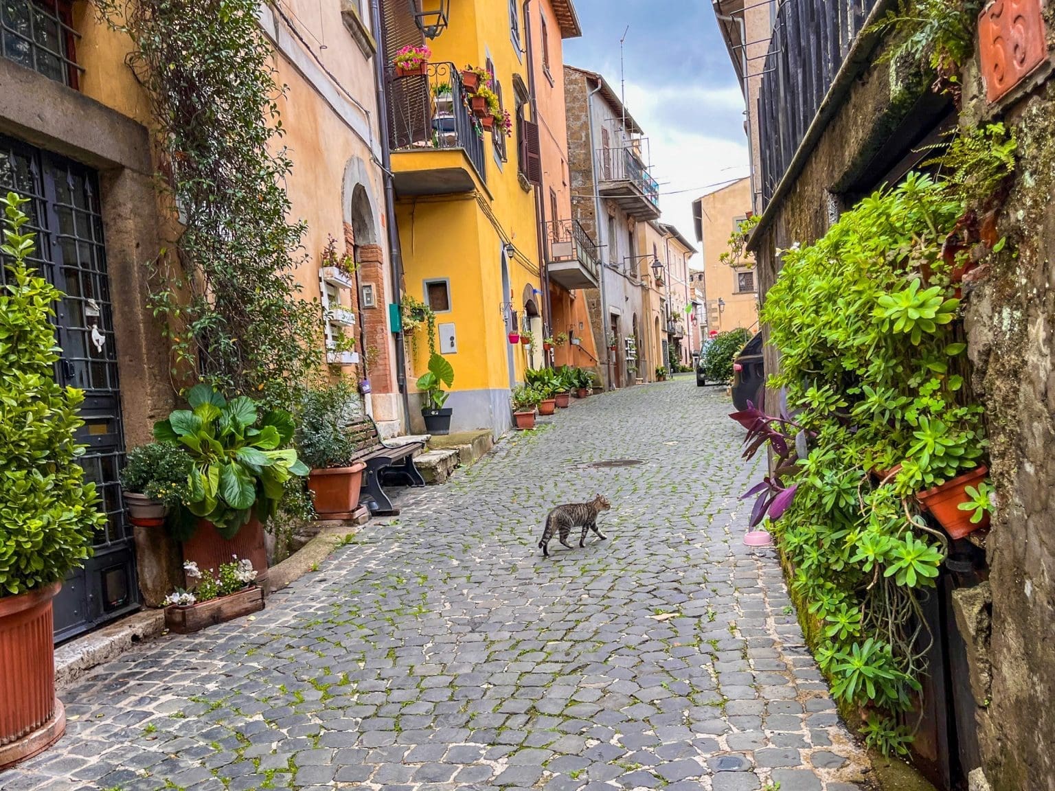 smal bakgate, Vasanello