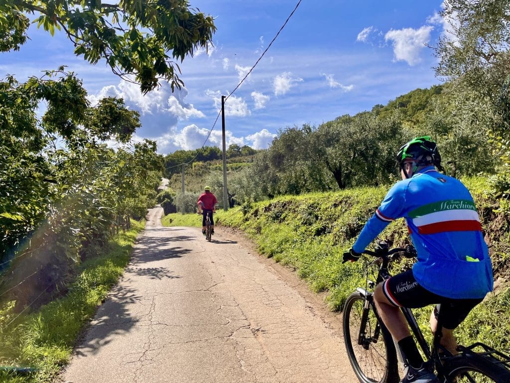 Sykkeltur mellom hasselnøttrær