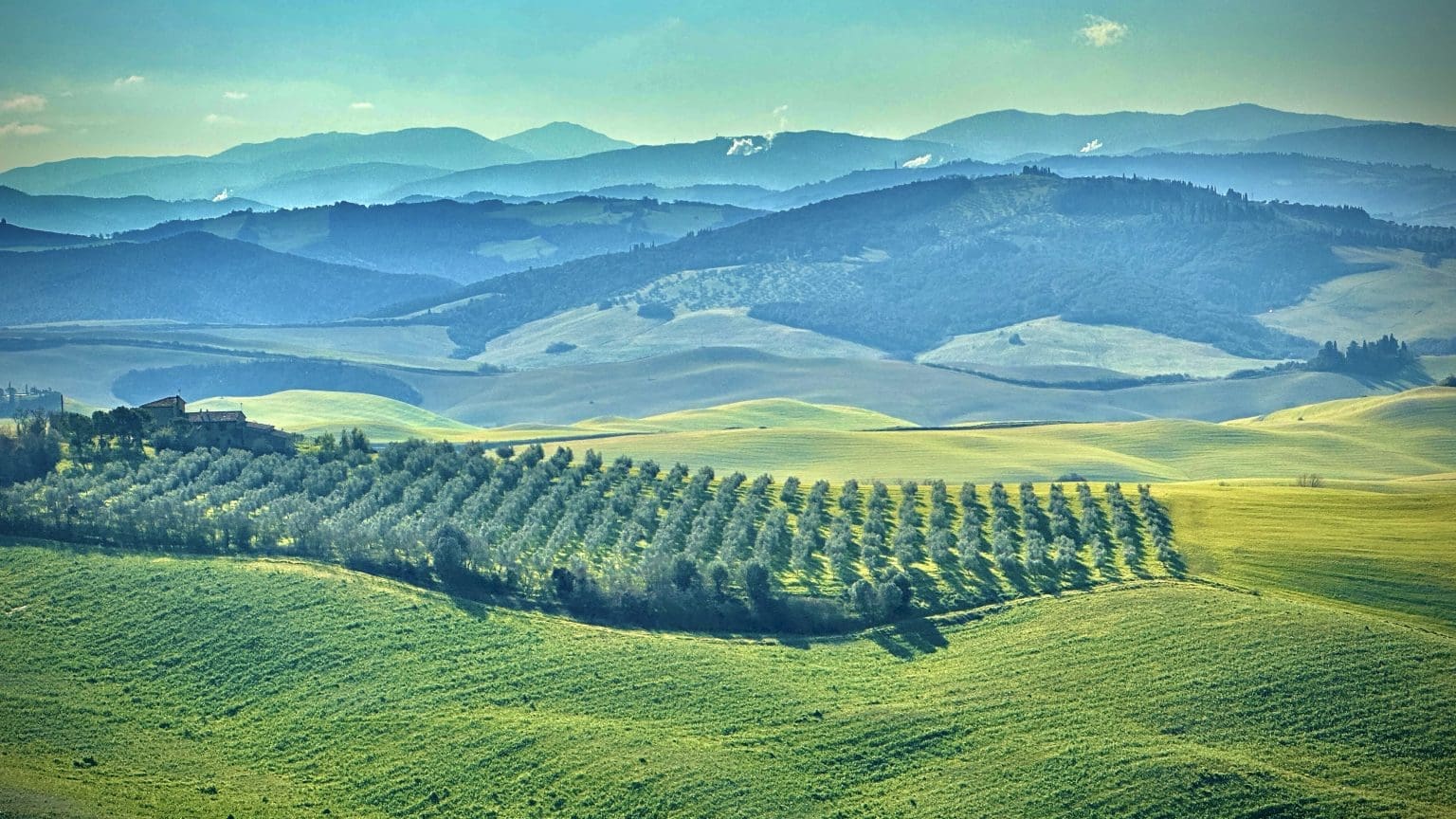 Landskap - myke åser i Toscana
